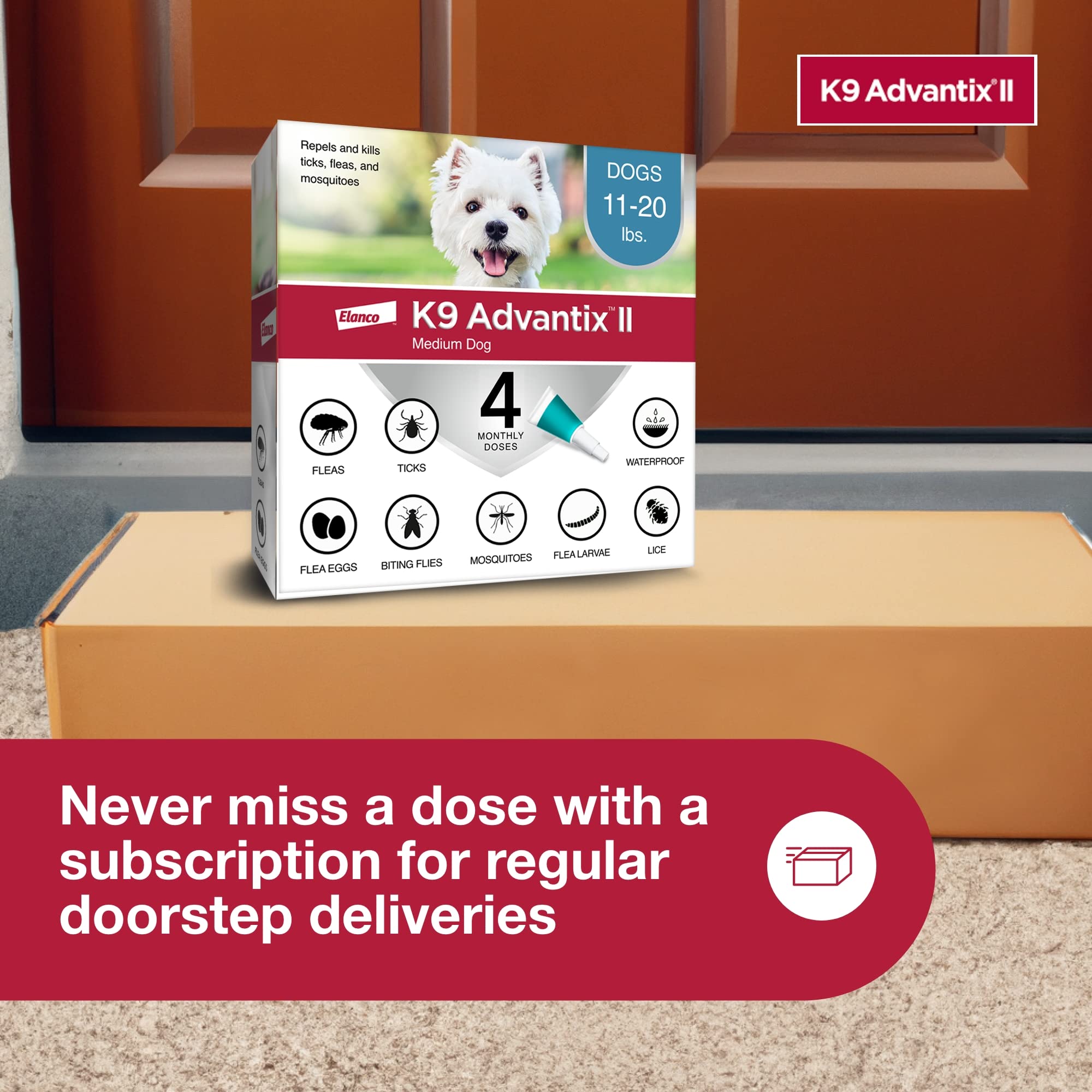 K9 Advantix II medium dog 4-dose pack for easy scheduling.
