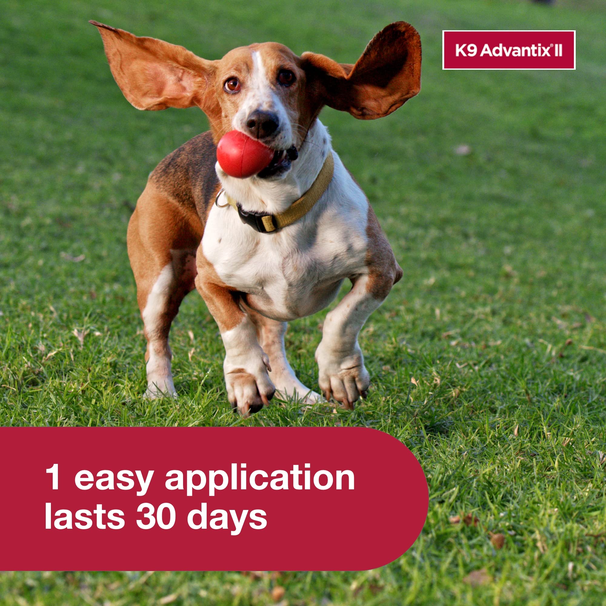 K9 Advantix II reduces biting flies for more comfortable walks.