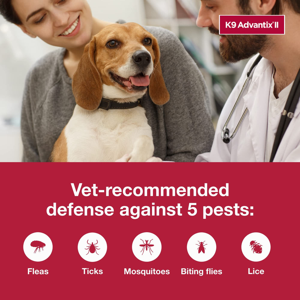 K9 Advantix II provides mosquito protection for calmer outdoor time.