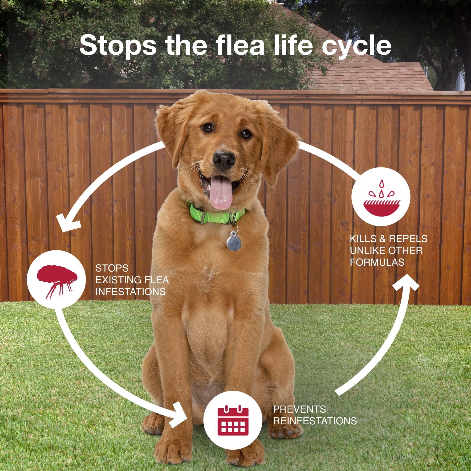 K9 Advantix II is fragrance-free and waterproof after 24 hours.