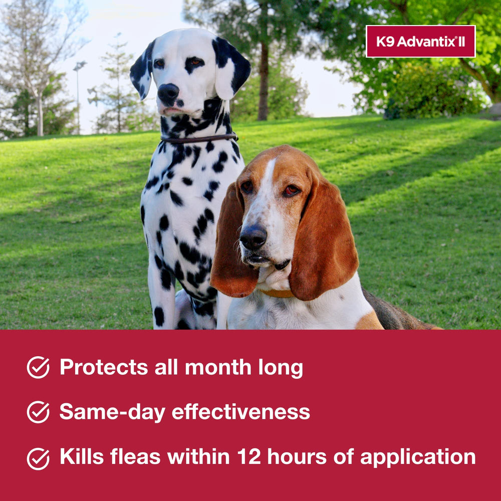K9 Advantix II repels ticks and mosquitoes on contact.