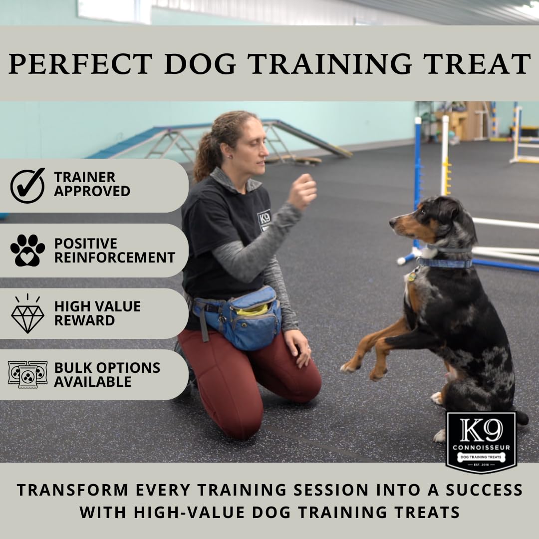 K9 Connoisseur beef lung treats in hand offering portable lean training rewards
