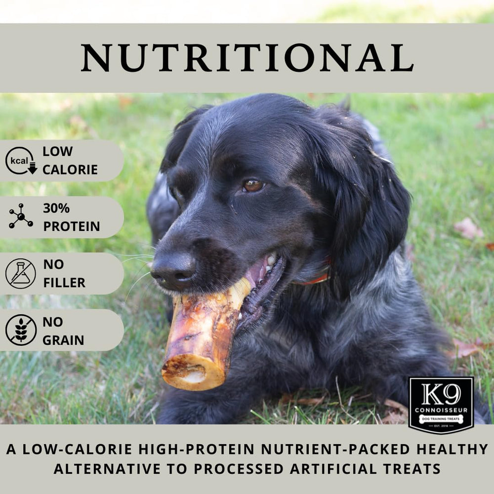 K9 Connoisseur beef marrow bone closeup highlighting natural single ingredient chew