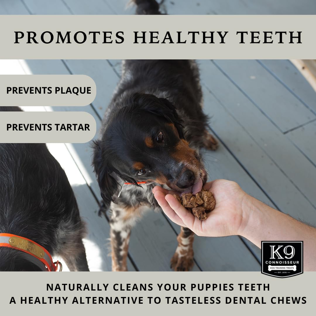 K9 Connoisseur grain-free dog treats in bag highlight lean snacks for all breeds.