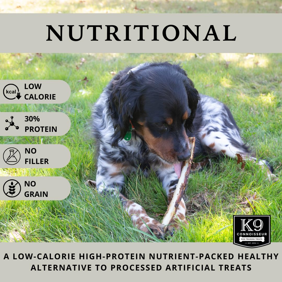 K9 Connoisseur long 8-10 inch beef bone ready for medium dogs' chew sessions