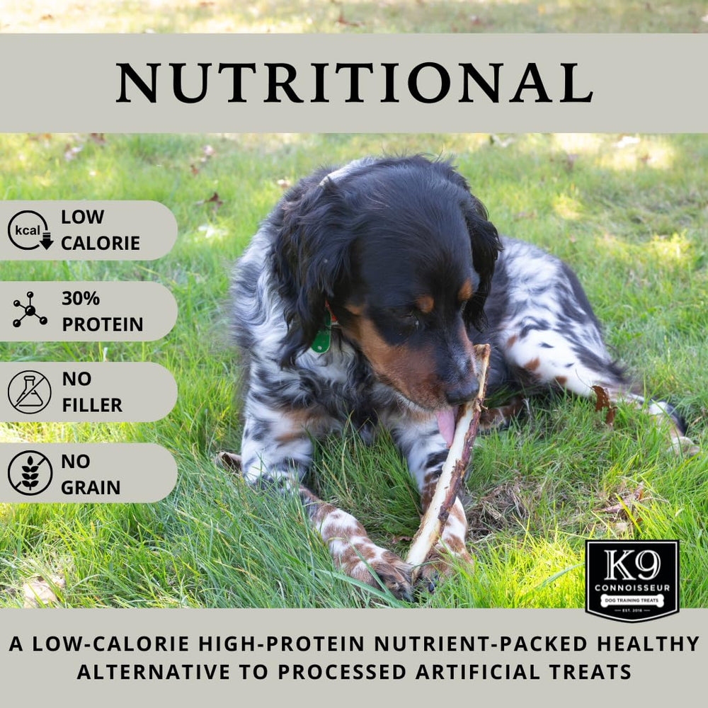 K9 Connoisseur long 8-10 inch beef bone ready for medium dogs' chew sessions