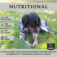 K9 Connoisseur long 8-10 inch beef bone ready for medium dogs' chew sessions