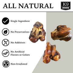 K9 Connoisseur mammoth marrow-filled bone cross-section showcases rich center for flavor