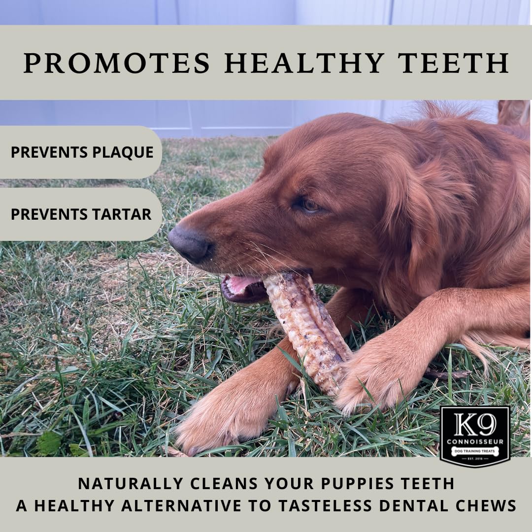 K9 Connoisseur trachea chews close-up texture showing chewy beef surface.
