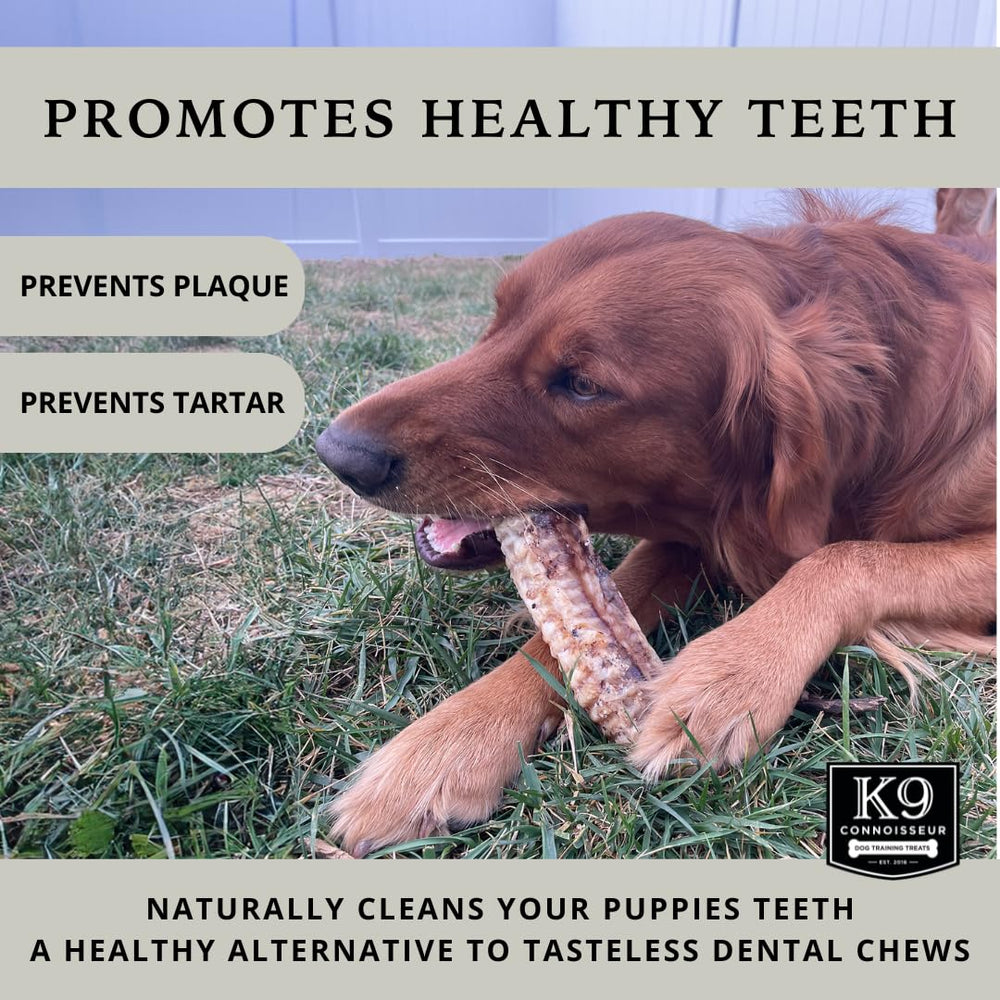 K9 Connoisseur trachea chews close-up texture showing chewy beef surface.