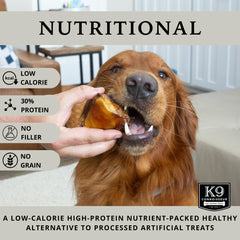 K9 Connoisseur USA-sourced bone product shot highlighting trusted, natural single-ingredient treat