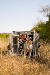 K9 Kennel Boss with dog inside demonstrates secure containment during travel and training sessions.