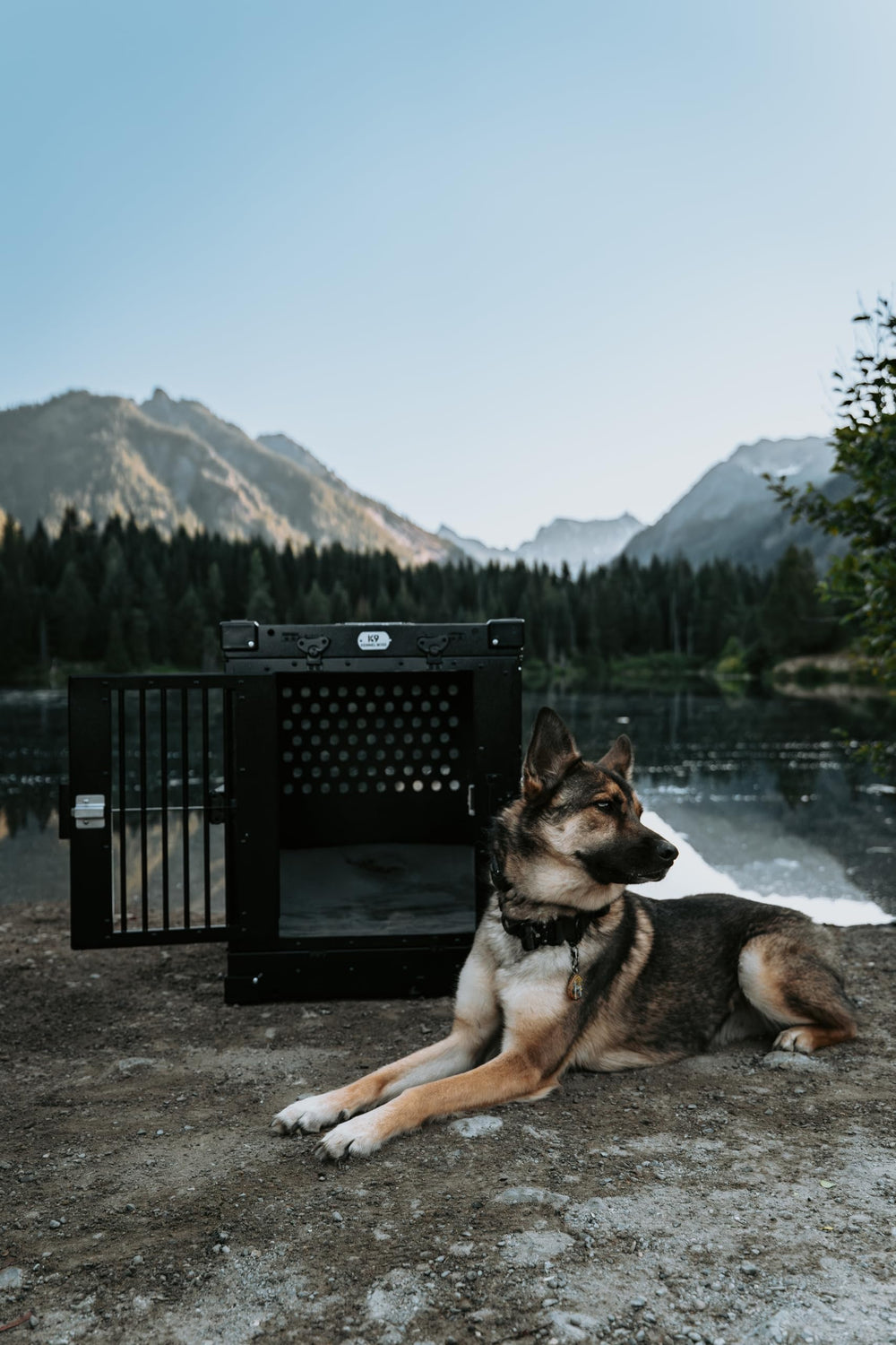 K9 Kennel Boss heavy-duty crate white stacked configuration for multi-dog setups