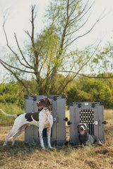 K9 Kennel Boss suitcase configuration shows quick collapse for easy storage.