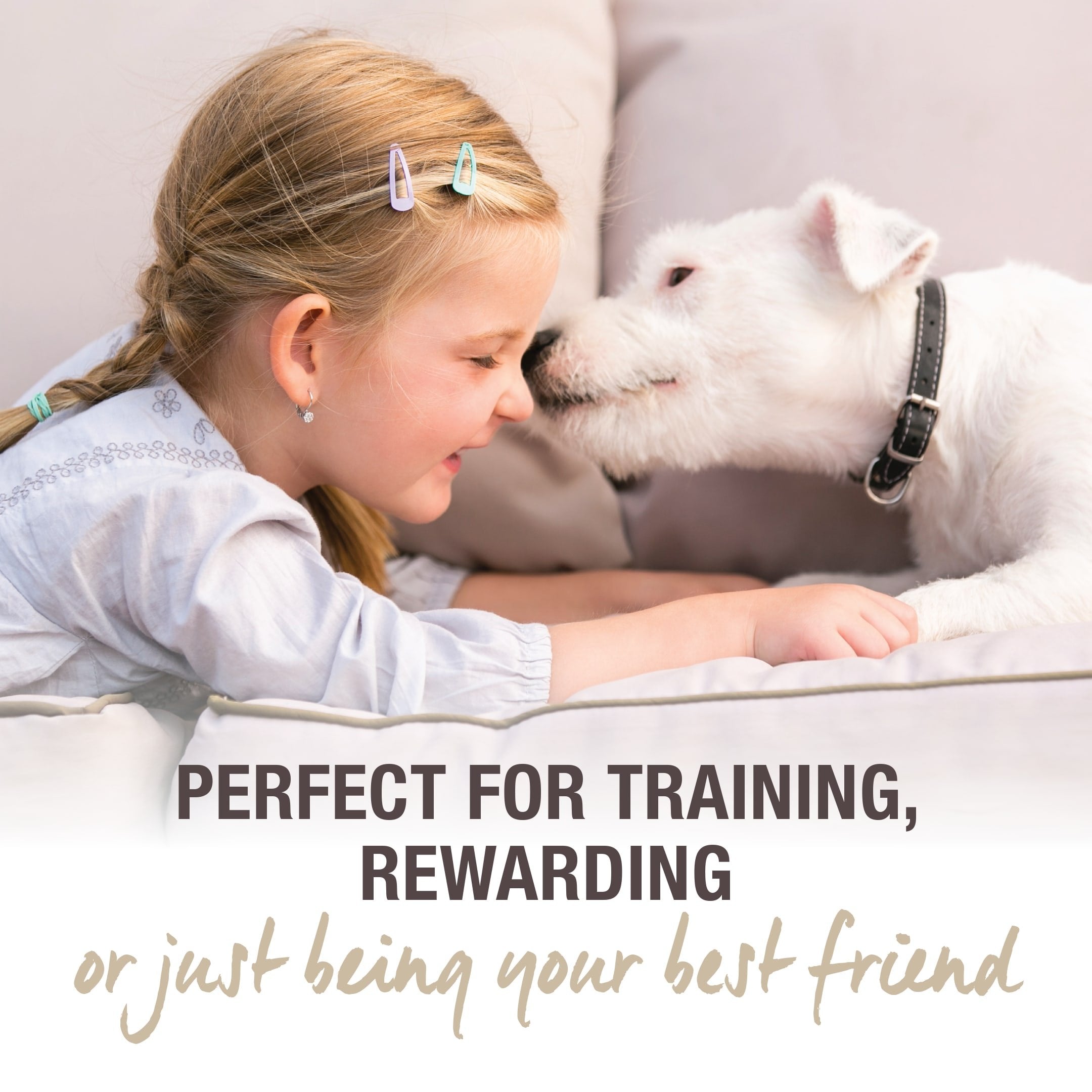 K9 Natural grain-free treats — no-mess training reward for fast-paced sessions.
