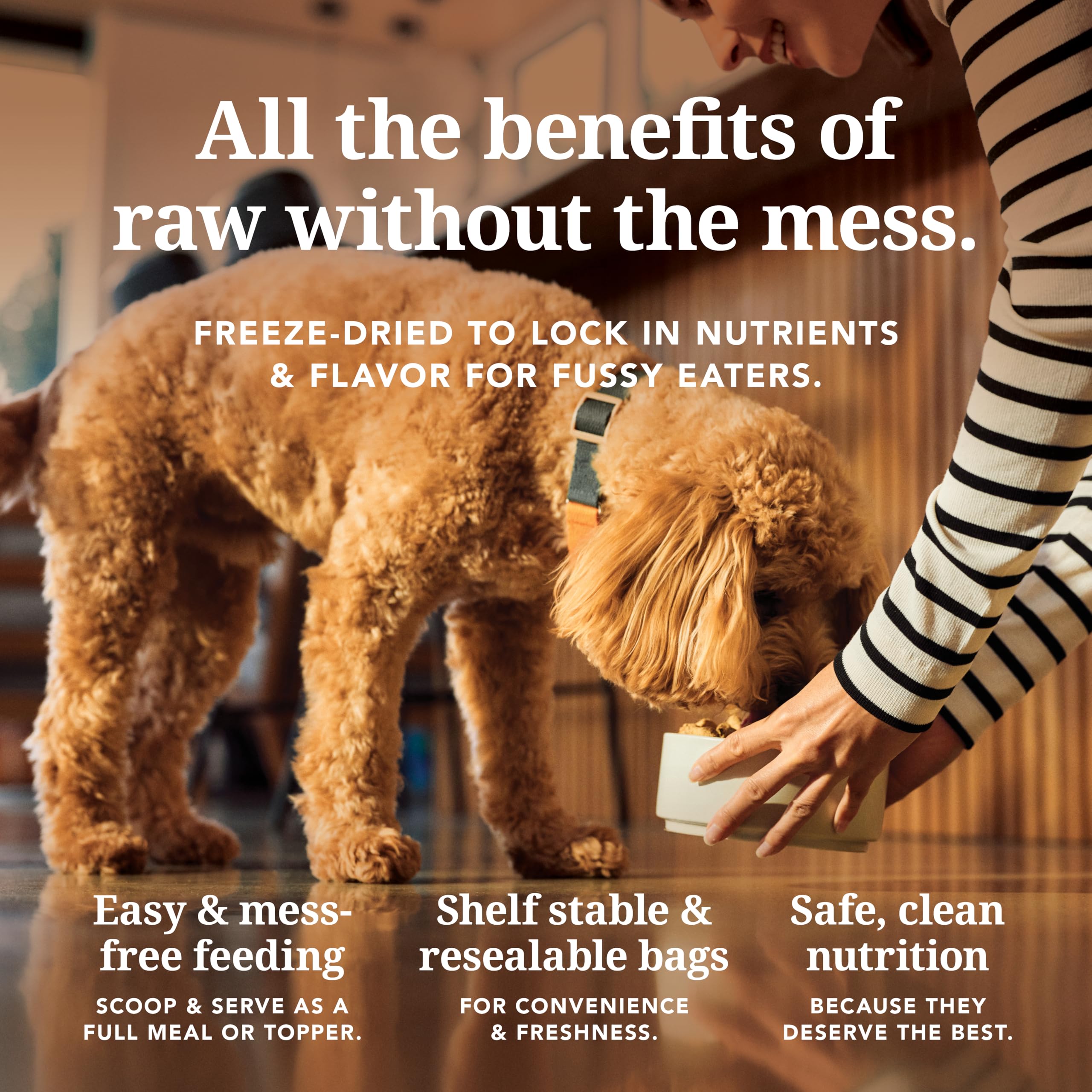 K9 Natural grass-fed beef chunks, traceable supply for peace of mind during feeding.