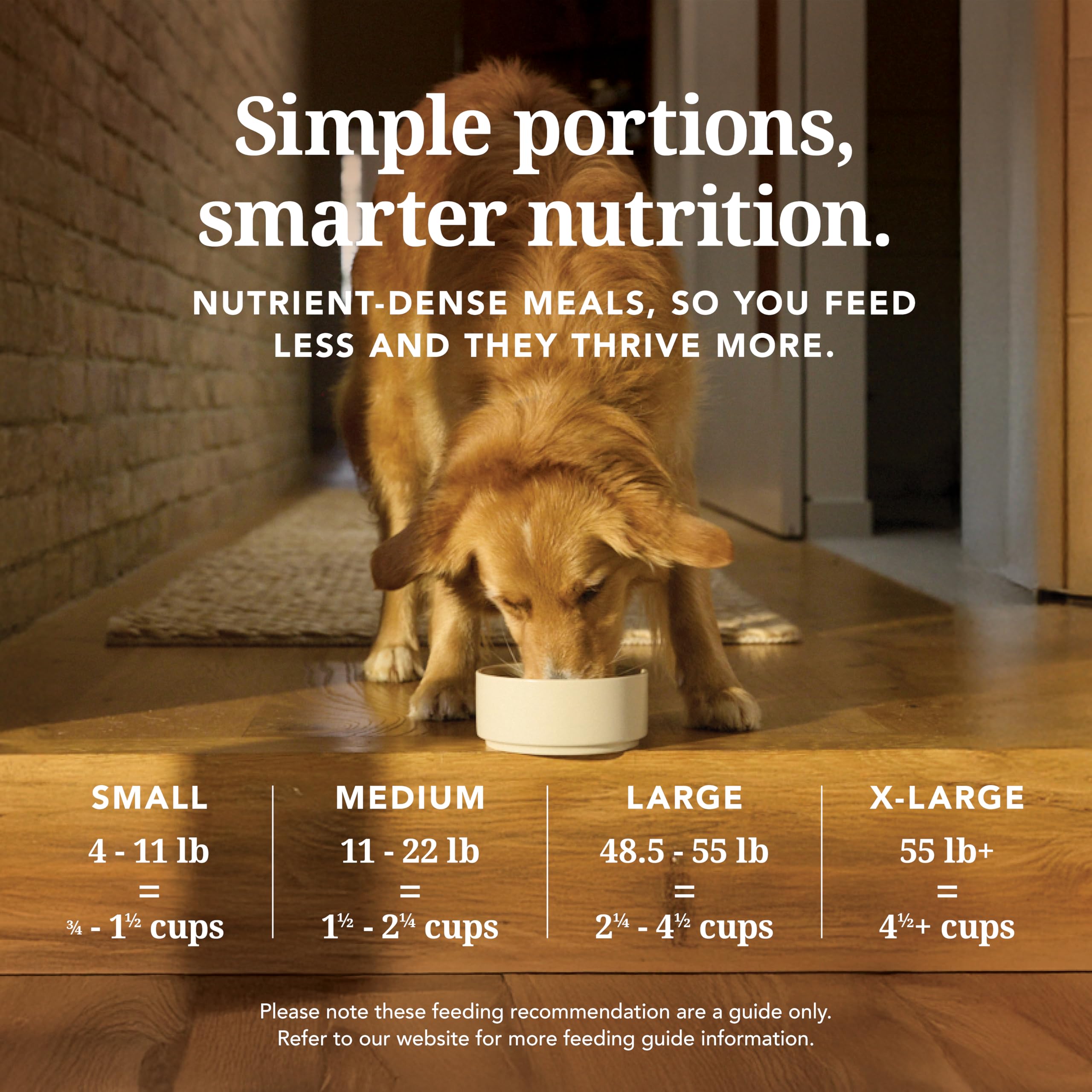 K9 Natural lamb grain-free dog food close-up highlights natural ingredients and quality