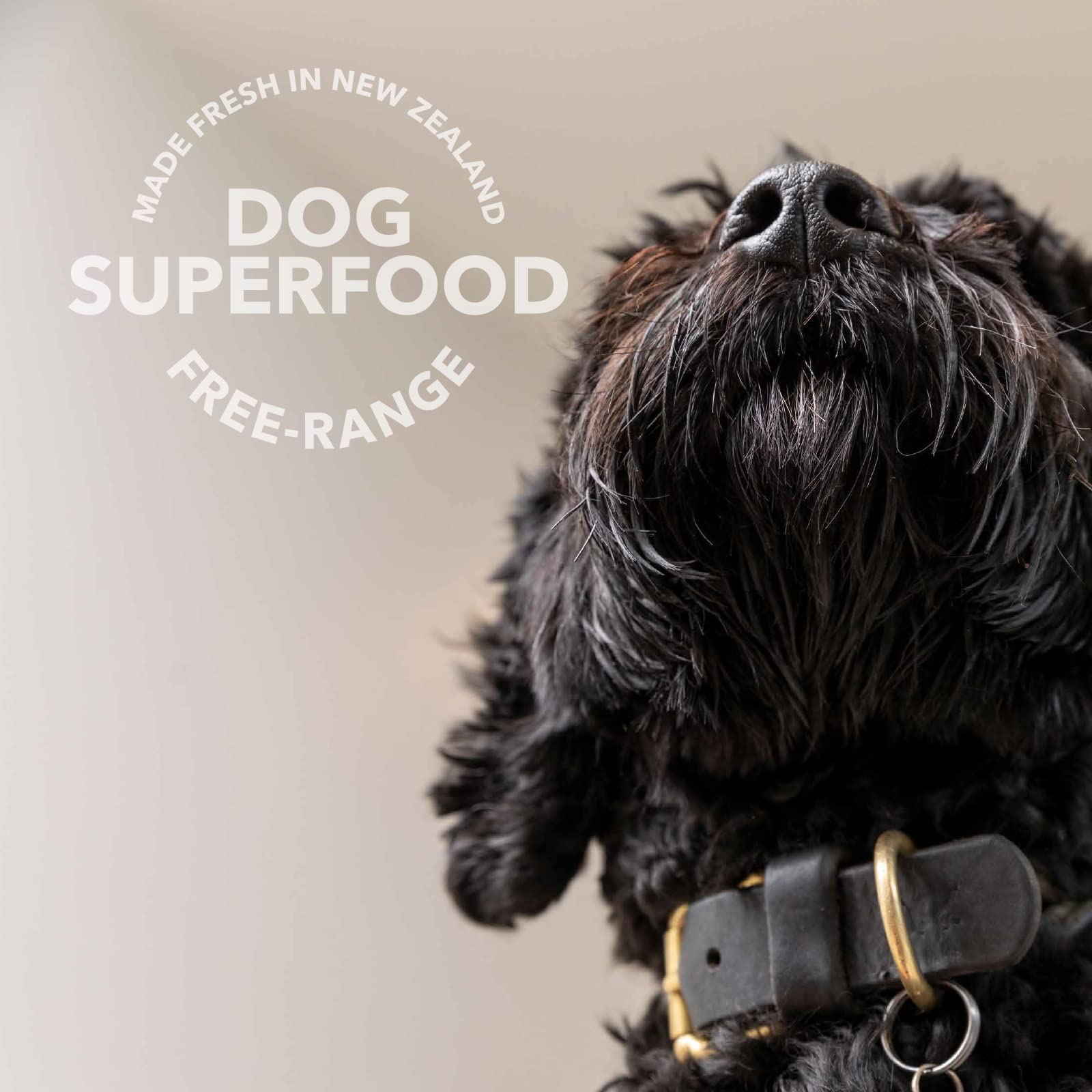 K9 Natural shelf-stable supplement bottle underscores long-lasting, everyday use.
