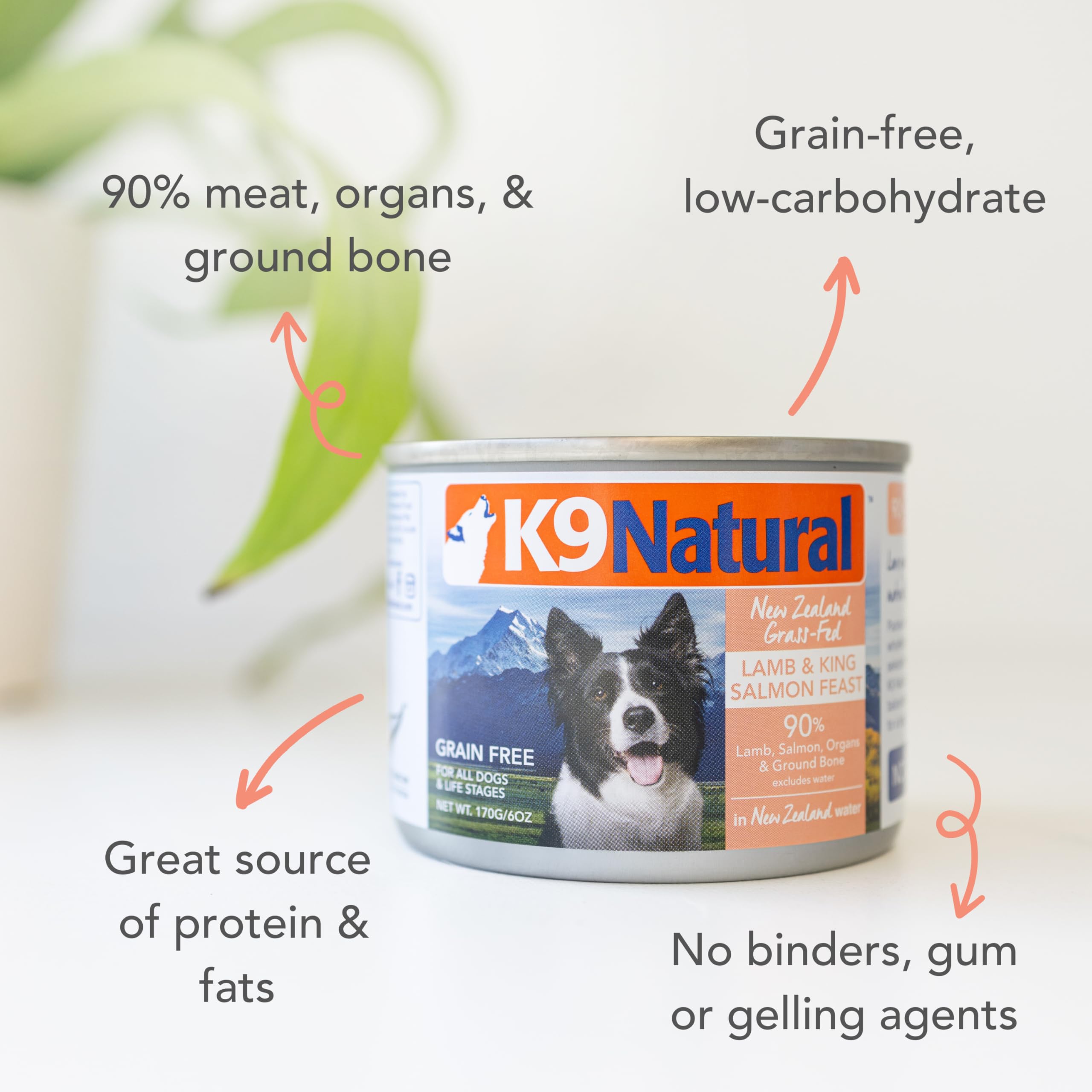 K9 Natural pate ingredients closeup with lamb and king salmon for high-protein nutrition
