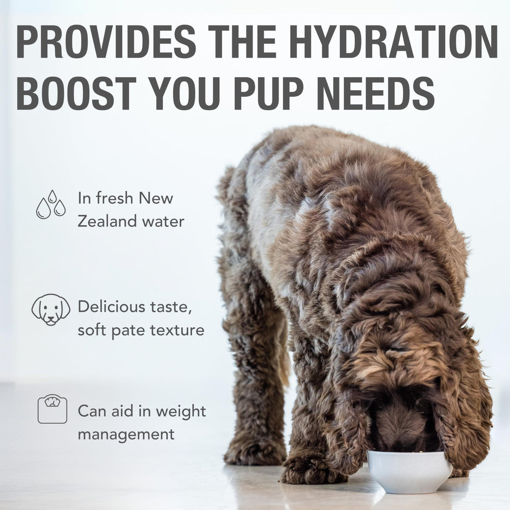 K9 Natural packaging front highlighting grain-free, NZ-made recipe with lamb and salmon