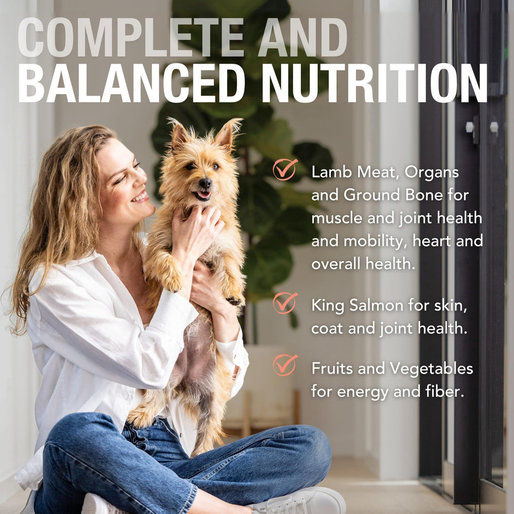 K9 Natural pate serving bowl shows smooth texture ideal for easy feeding