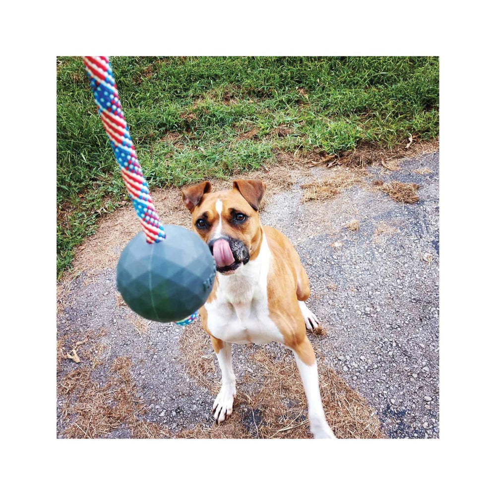 K9 Ops Moki Tug large-breed training use shows suitability for big dogs.