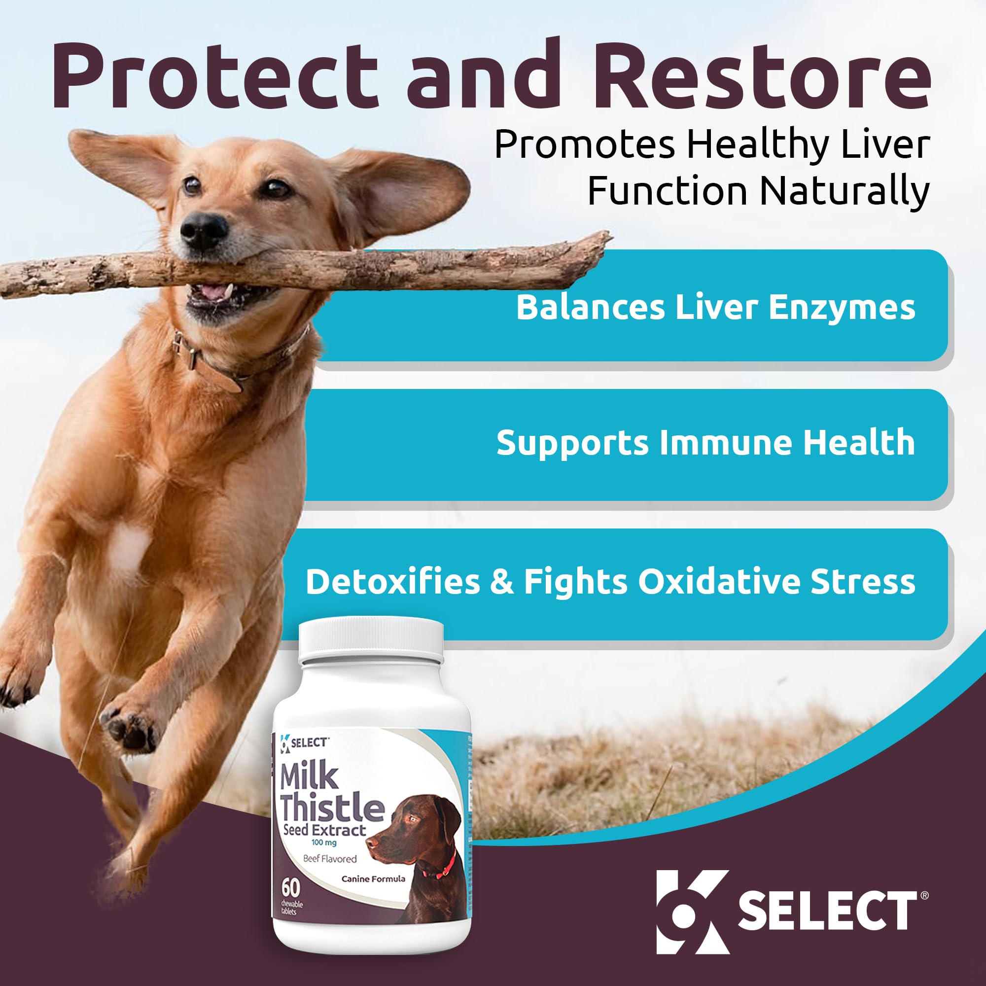 K9 Select 100 mg milk thistle with 80% silymarin for antioxidant-backed resilience.
