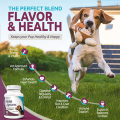 K9 Select coat-health close-up promoting shine and skin comfort.