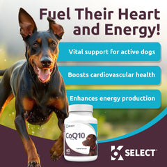K9 Select CoQ10 bottle nutrition info focuses on antioxidants and energy support