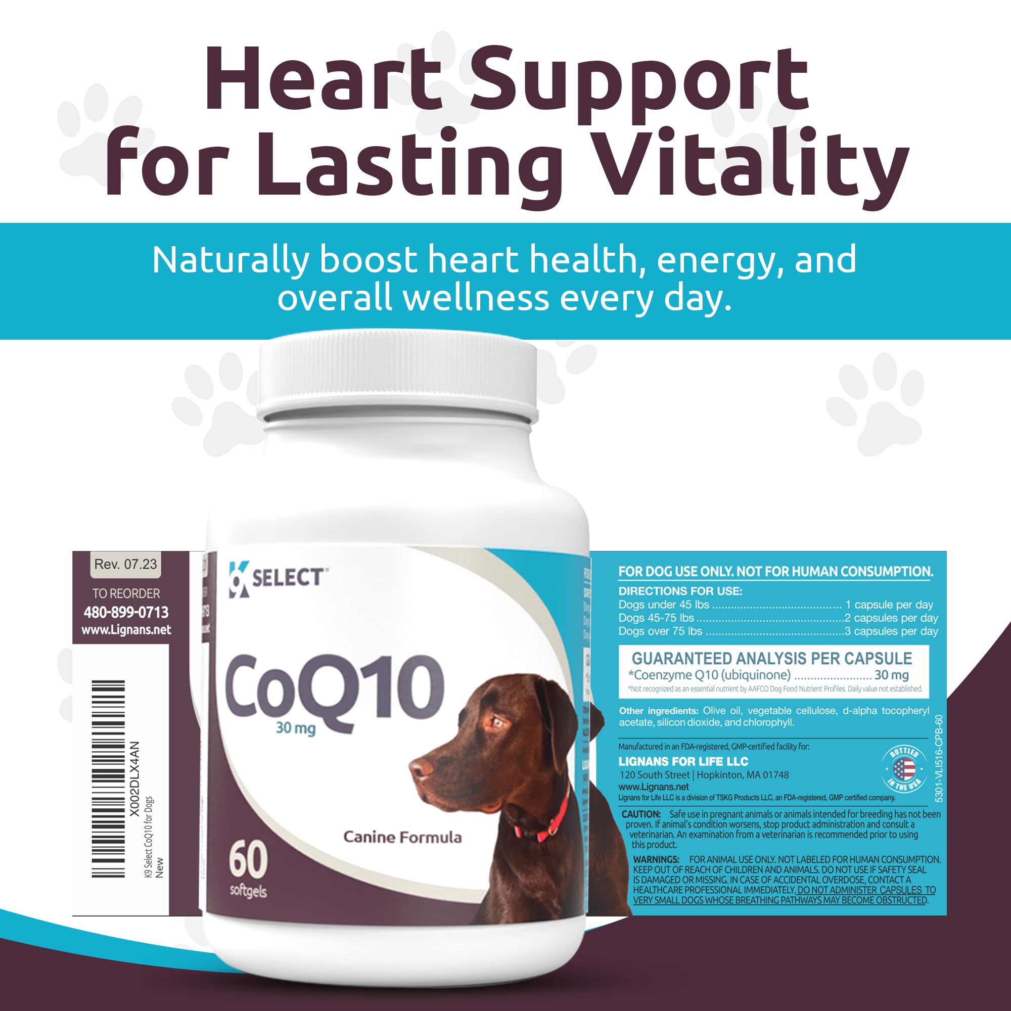 K9 Select CoQ10 dog and bottle demonstrates everyday wellness for active dogs
