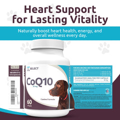 K9 Select CoQ10 dog and bottle demonstrates everyday wellness for active dogs