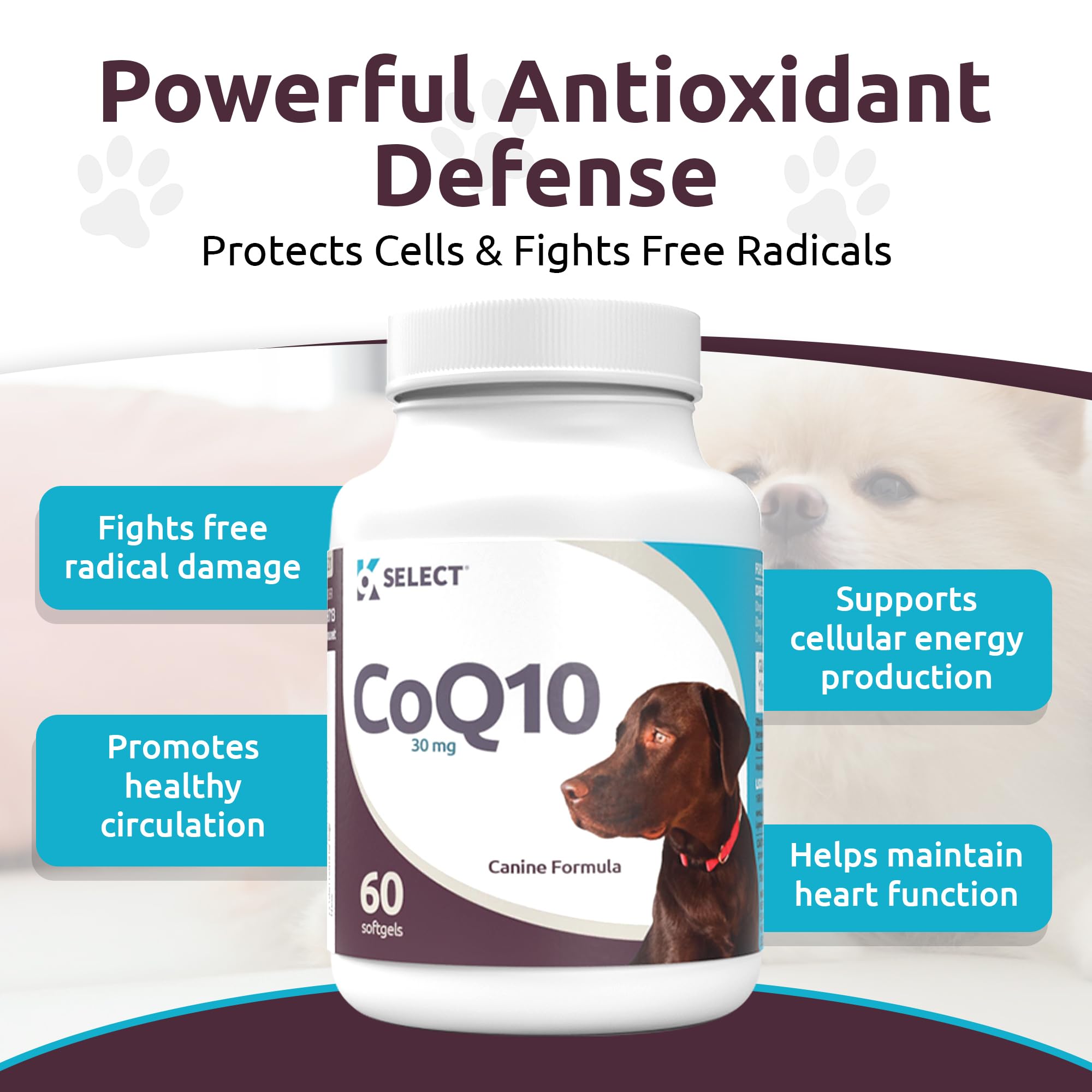 K9 Select CoQ10 heart health graphic highlights cardiovascular support benefits
