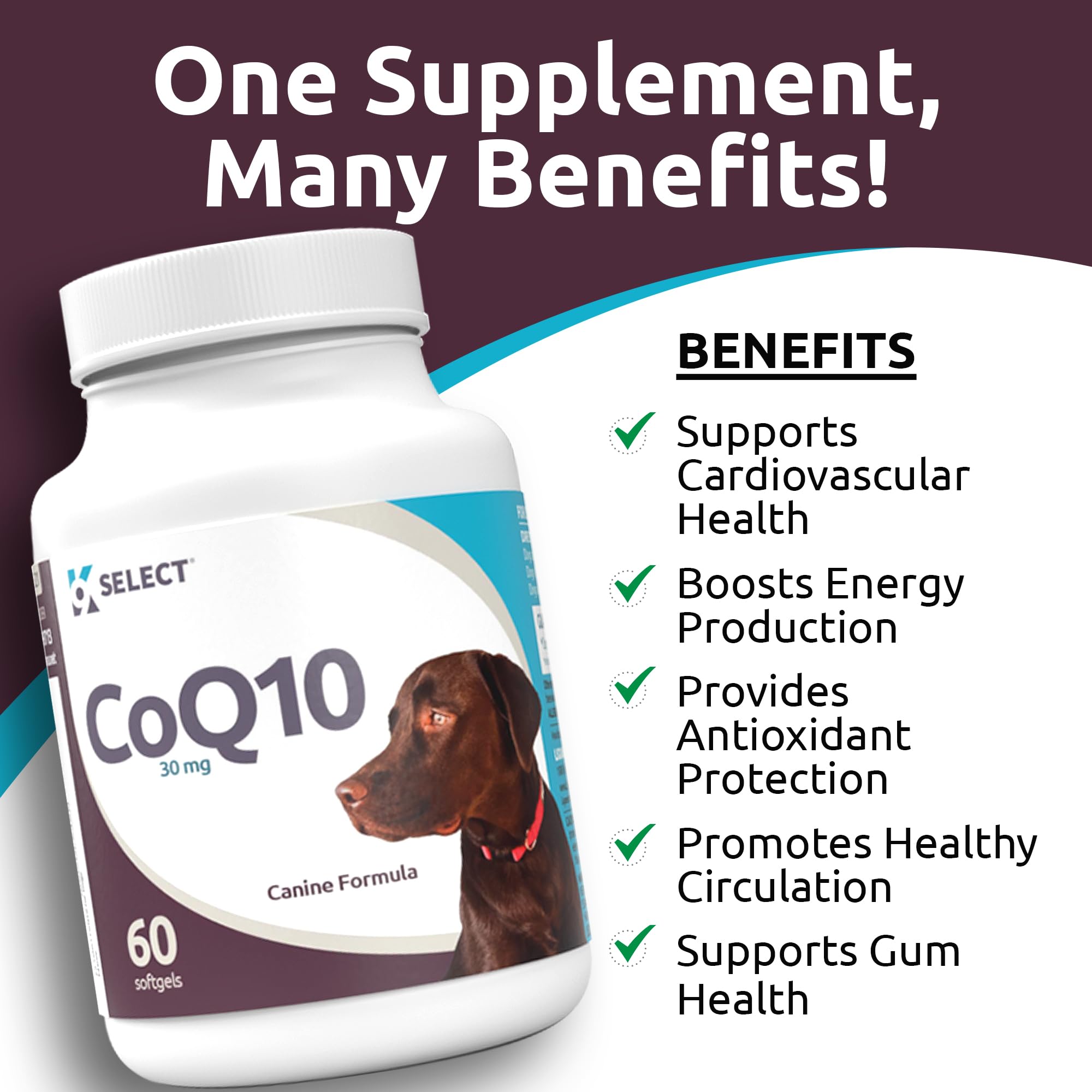 K9 Select CoQ10 oral health photo underscores gum health and circulation benefits