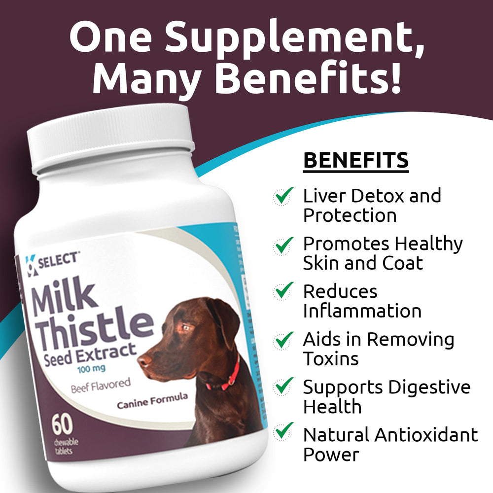 K9 Select beef-flavored chewable tablets for easy daily liver support.