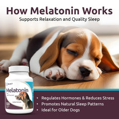 K9 Select dog sleep aid chews suggest a soothing nightly routine.