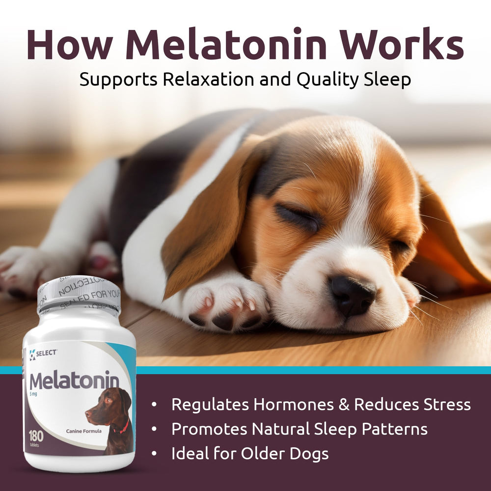 K9 Select tasty calming chews provide easy, palatable anxiety relief.