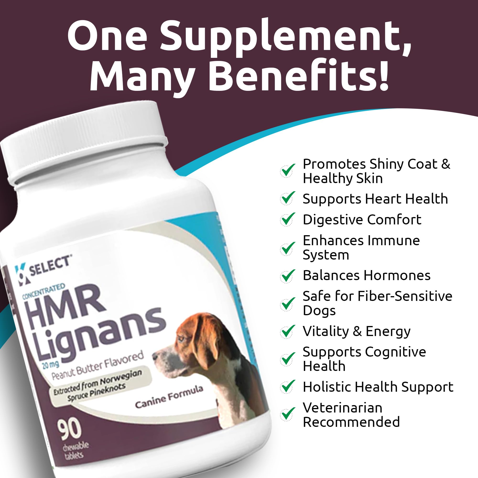 K9 Select heart-health-dogs visual suggesting cardiovascular wellness.