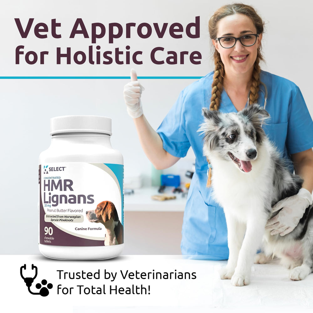 K9 Select immune-support-dogs presentation signaling holistic wellness potential.