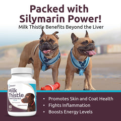 K9 Select liver detox support chewables for toxin management during daily routines.