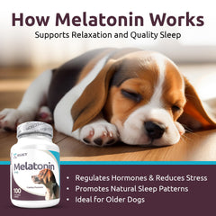 K9 Select Melatonin cortisol-support for dogs helps manage stress hormone levels during noisy events.