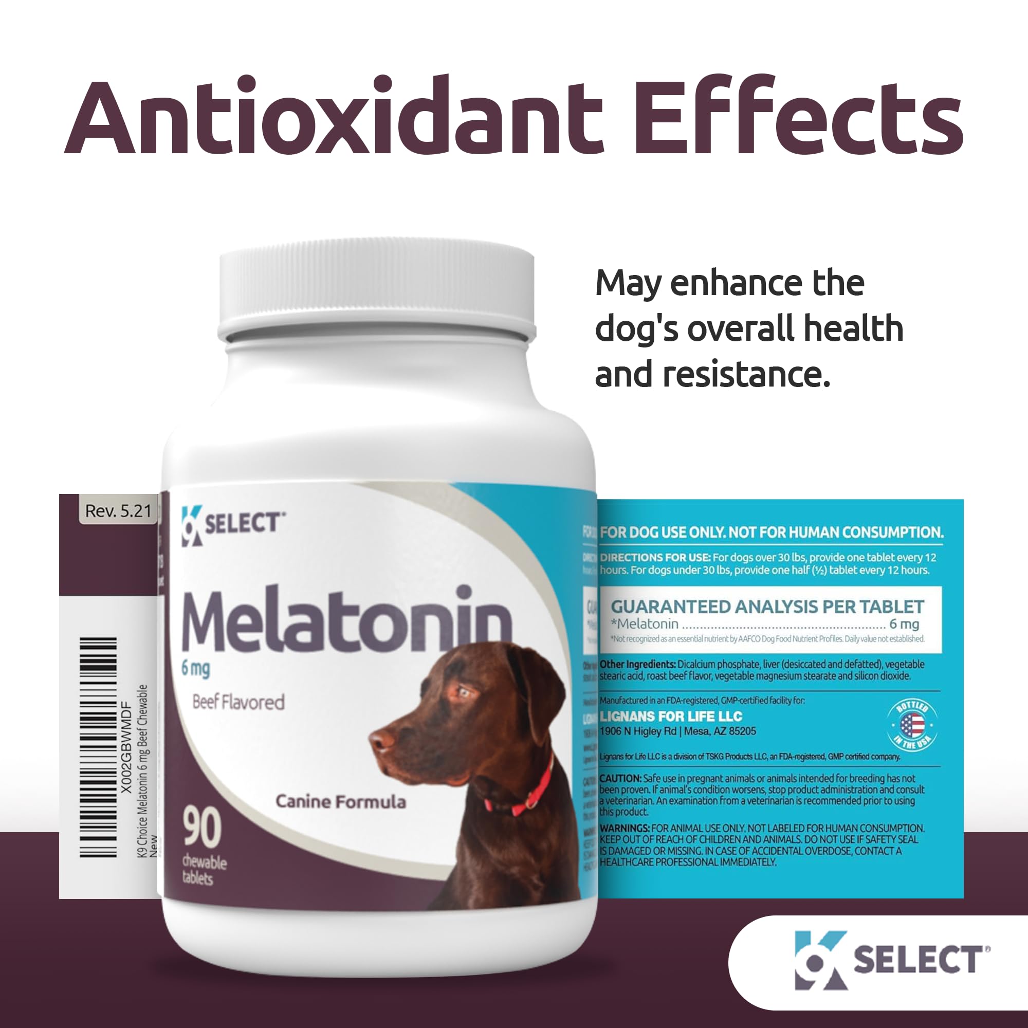 K9 Select melatonin calming dog scene at night supports sleep readiness for large dogs.