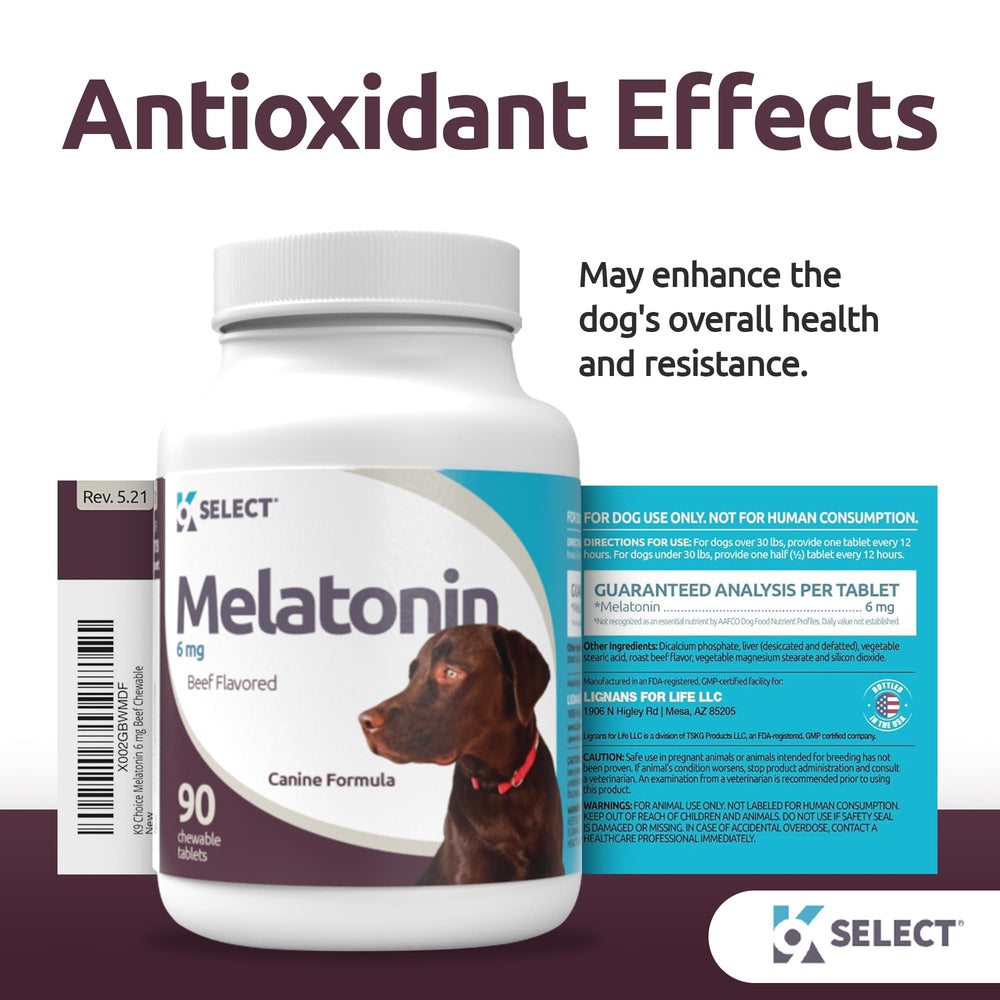 K9 Select melatonin calming dog scene at night supports sleep readiness for large dogs.