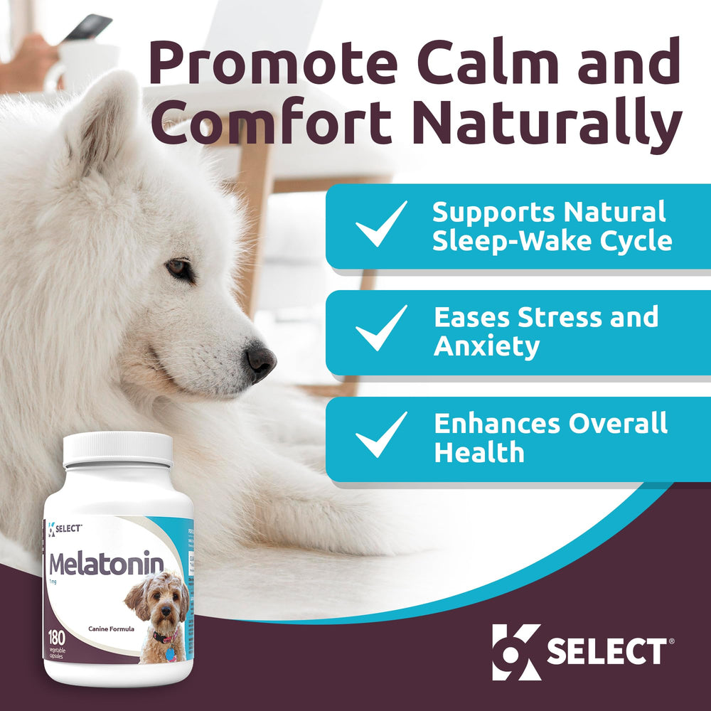 K9 Select melatonin dog capsules closeup showing 1 mg dose for small dogs.