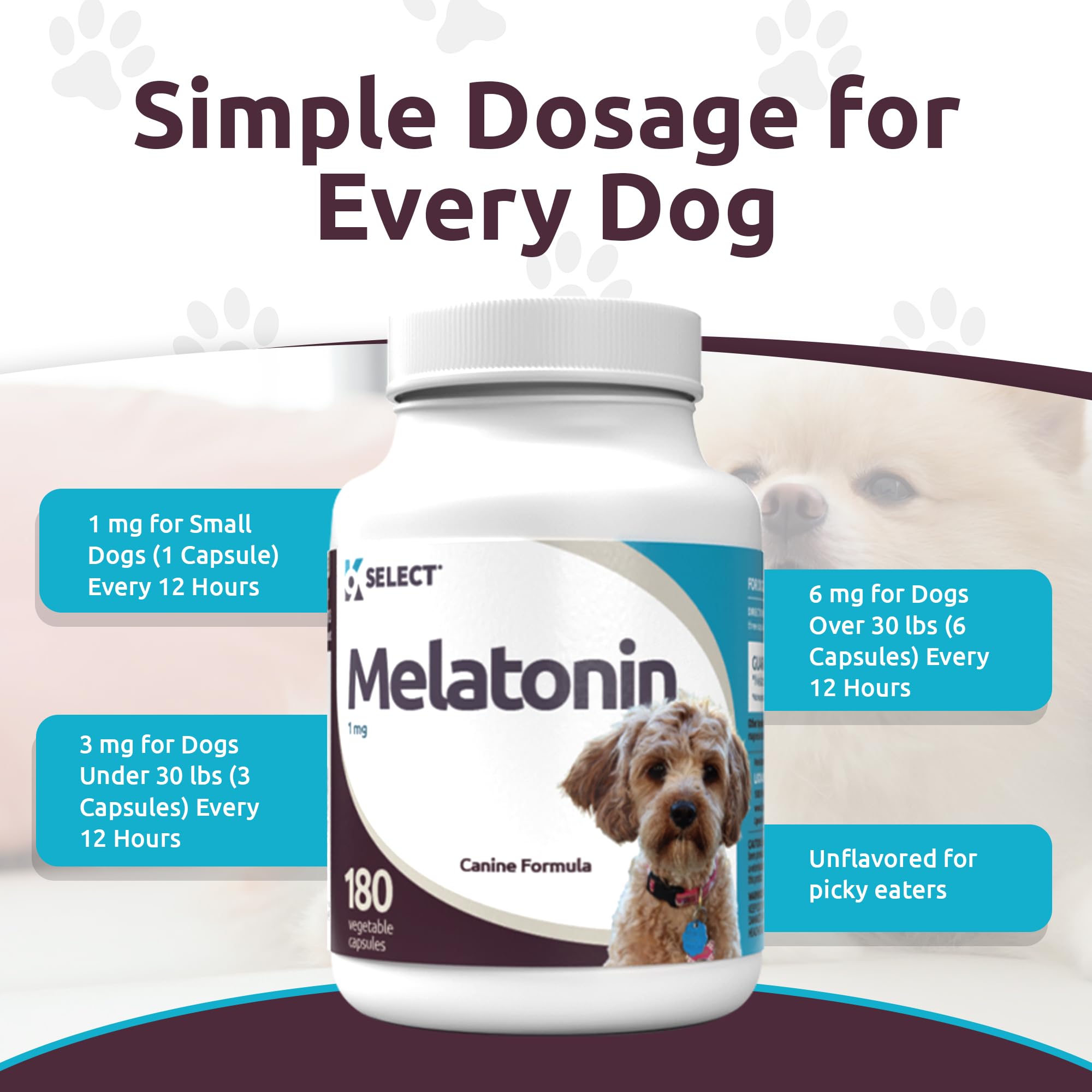 K9 Select melatonin dog coat glow highlighting skin and coat vitality.