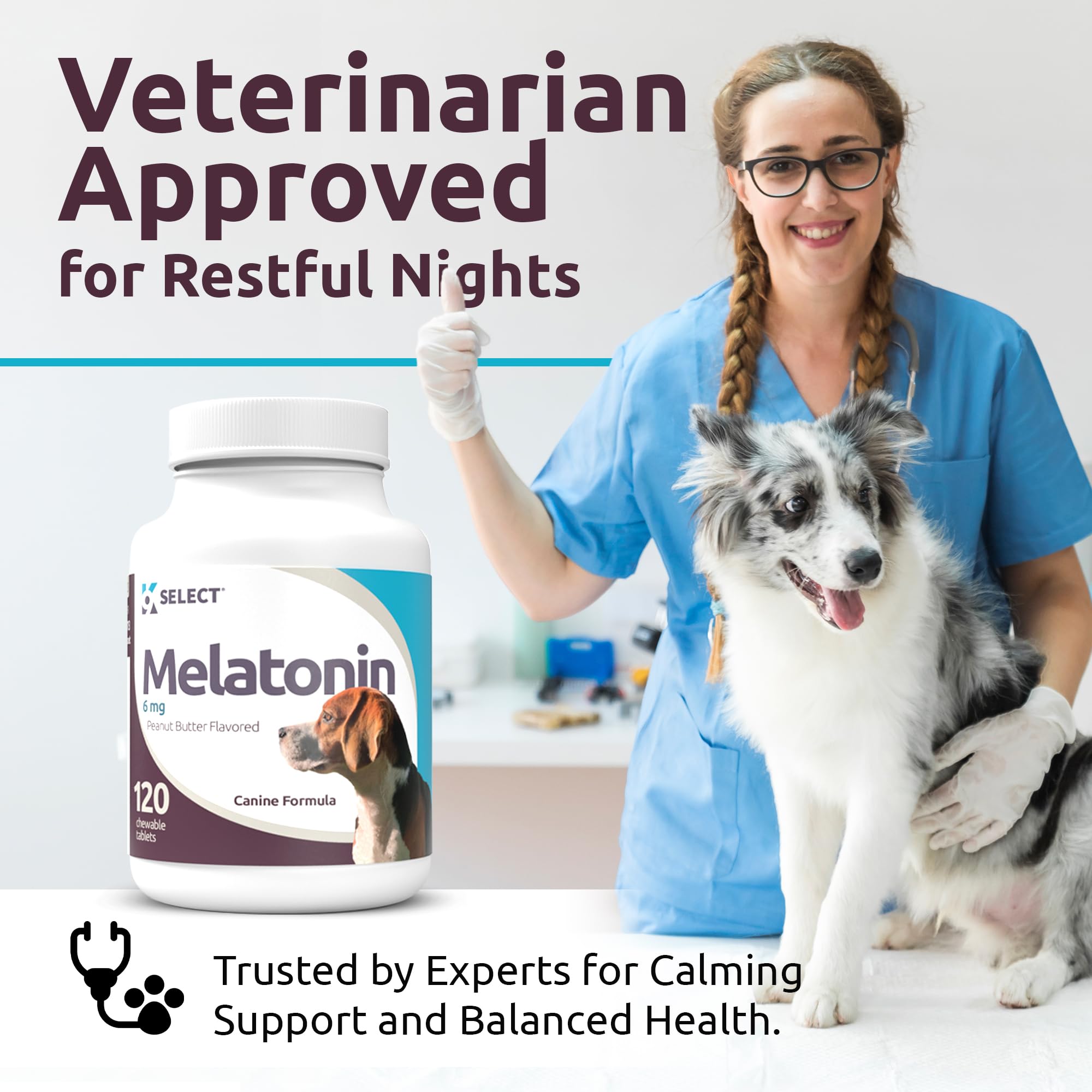 K9 Select melatonin promotes dog health and vitality with a calm, confident demeanor