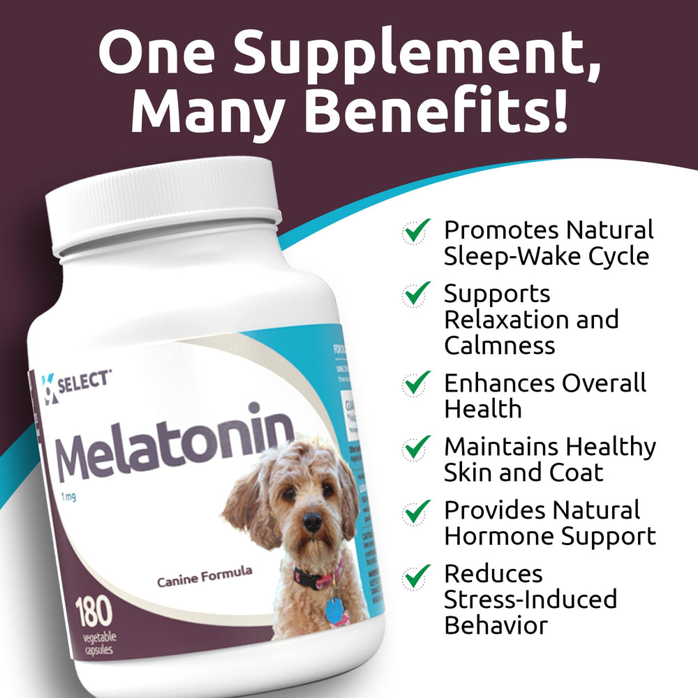 K9 Select melatonin dog night scene illustrating restful nights for pets.
