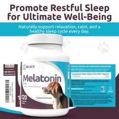 K9 Select melatonin tablet in a dog's resting scene for peaceful nights