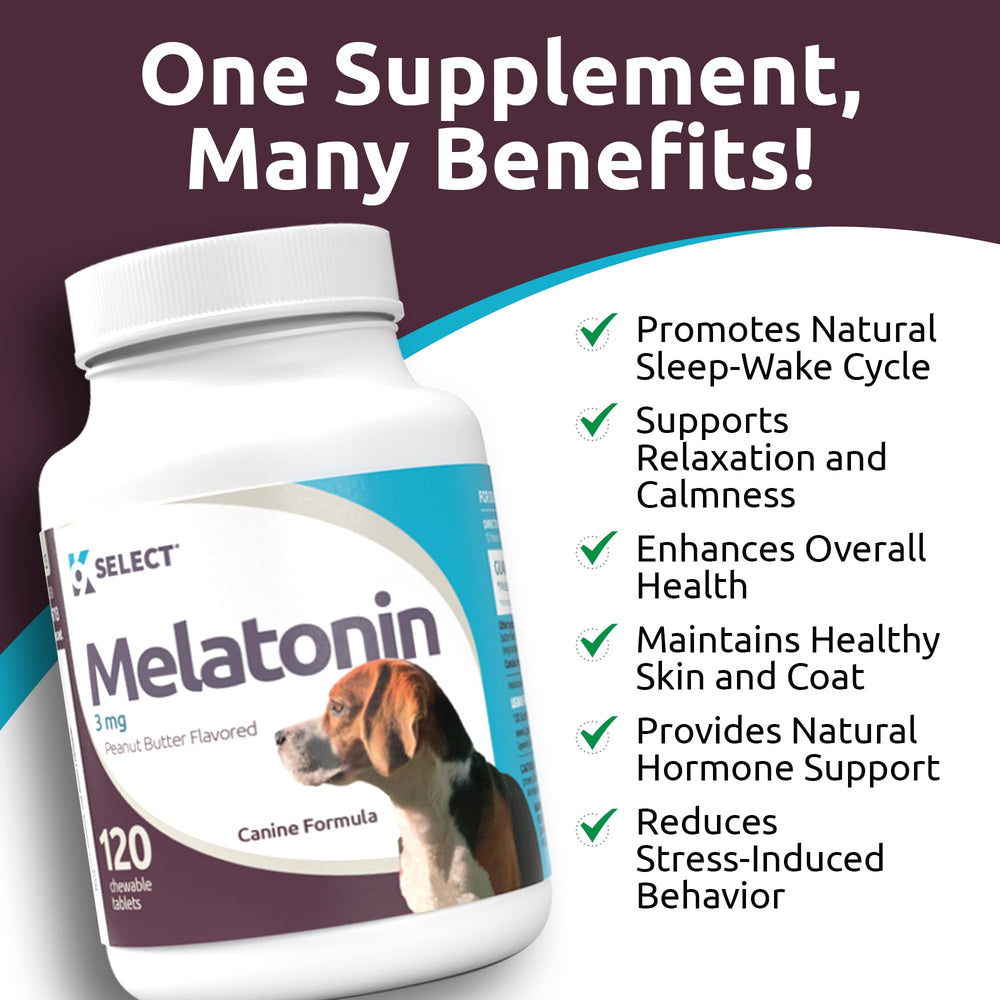 K9 Select melatonin shown during fireworks for stress-friendly moments