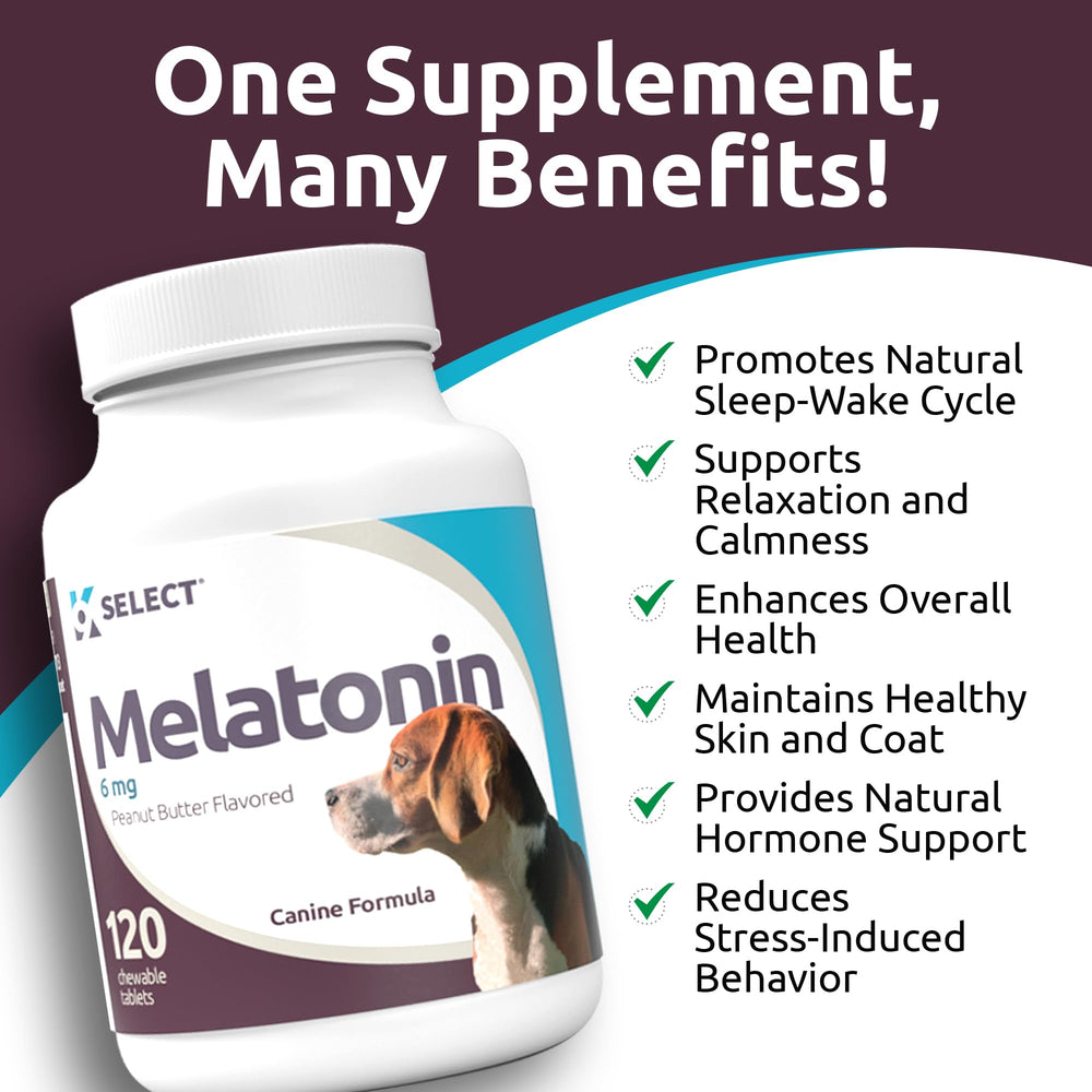 K9 Select melatonin during storm use scene suggests anxiety relief during thunderstorms and fireworks