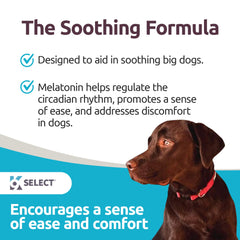K9 Select melatonin large-dog chews beef flavor shown with resealable container for calm moments.